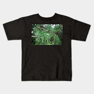 Winter Christmas Pine Tree Branch Kids T-Shirt